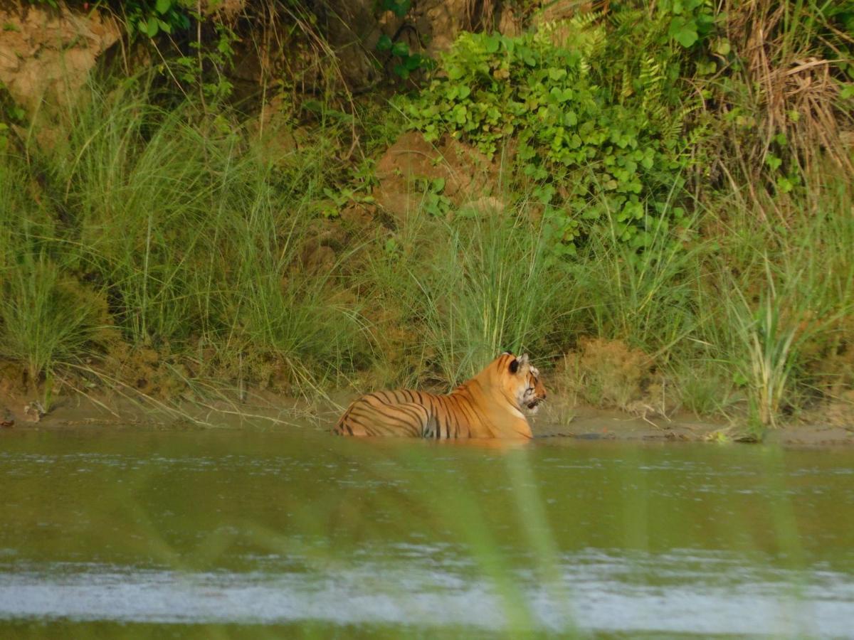 Chital Lodge Чітаван Екстер'єр фото