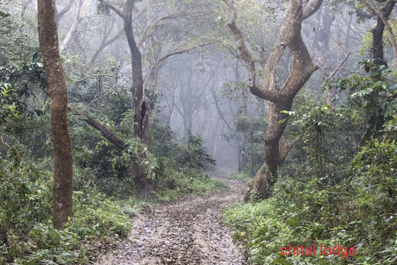 Chital Lodge Чітаван Екстер'єр фото